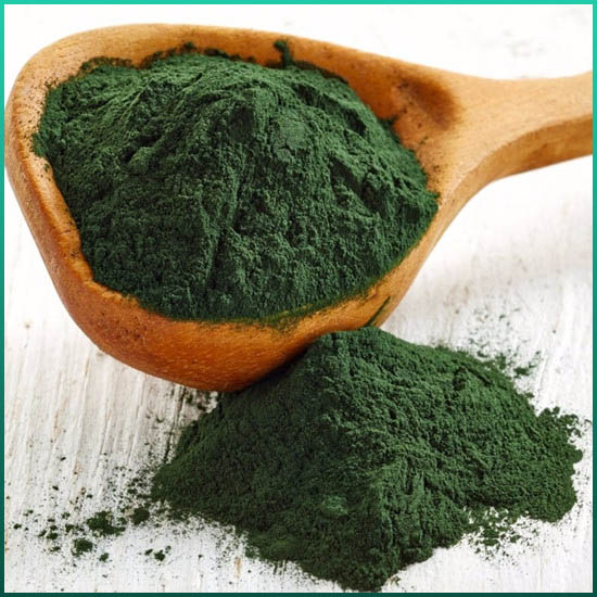 Spirulina-uute